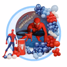 spiderman theme birthday decorations for boys
